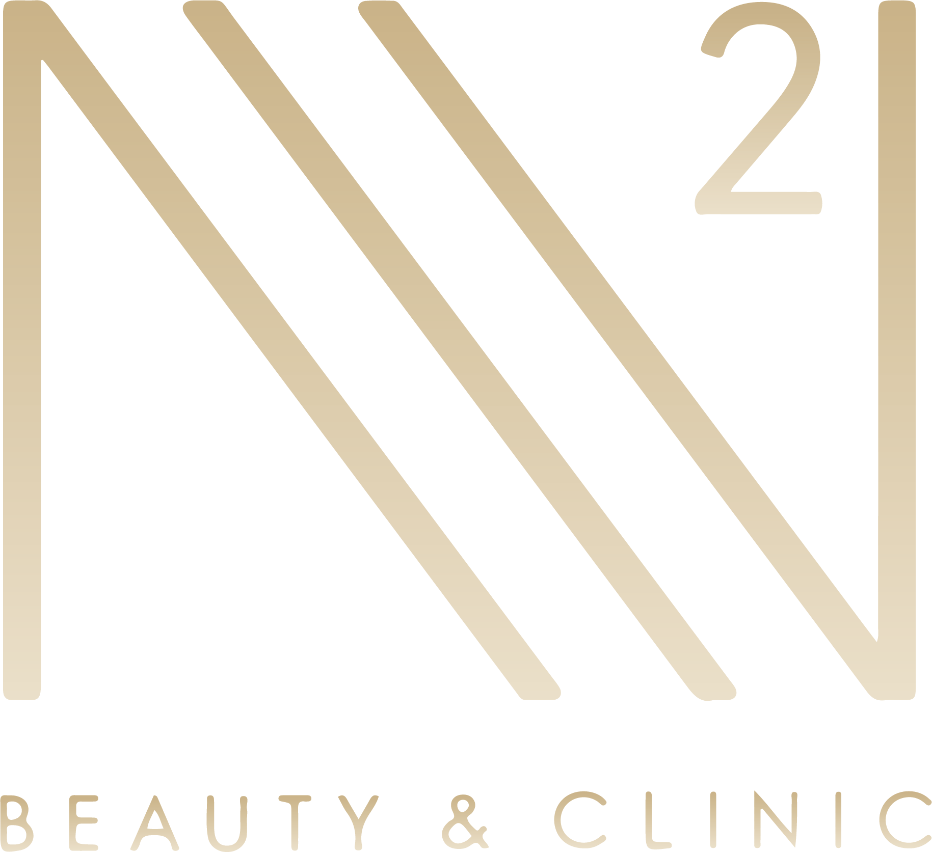 N2_LOGO