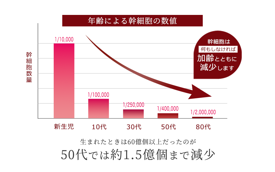 年齢別幹細胞の数値