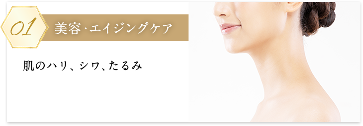 美容エイジングケアSP