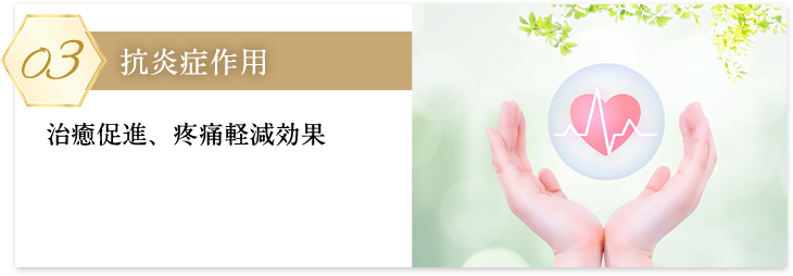 抗炎症作用SP