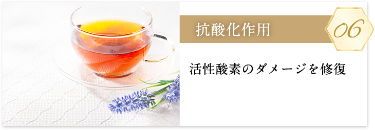 抗酸化作用_sp